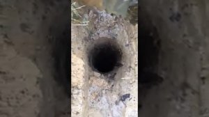 Кольская сверхглубокая скважина, из неё непонятные звуки.