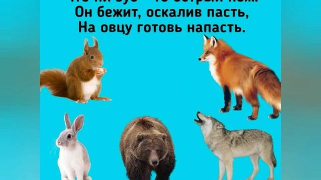 ЗАГАДКИ ПРО ДИКИХ ЖИВОТНЫХ и ПТИЦ // Для детей 2-3 года. смотреть онлайн