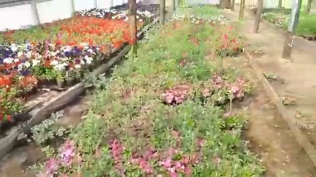 Система полива в теплице своими руками смотреть онлайн