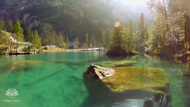 Deje De Pensar Demasiado, Elimina Estrés, Ansiedad Y Calmar La Mente, Ahuyenta Toda Mala Energía ★1