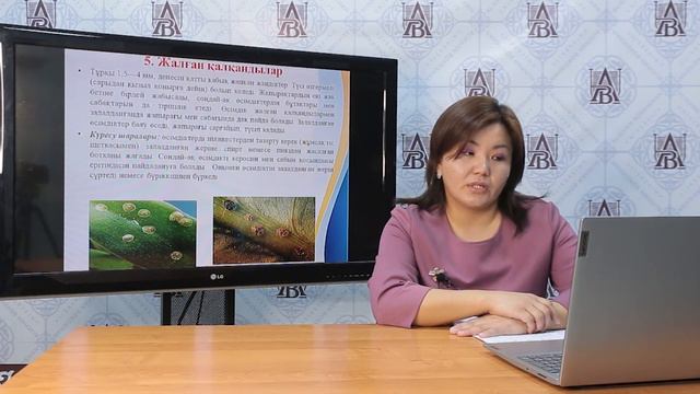 Кожахметова Балжан Балташевна, старший преподаватель смотреть онлайн