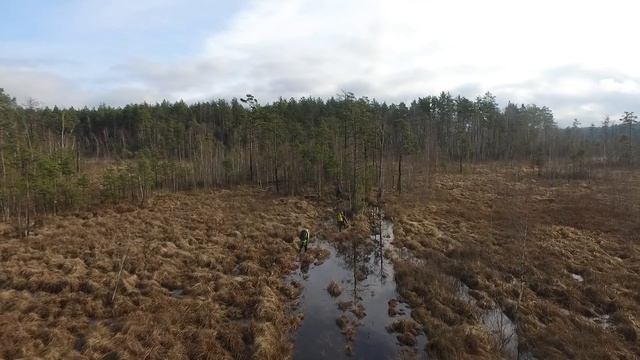 Баллада о детях Большой Медведицы?(фрагмент) - Муся Тотибадзе(кавер) смотреть онлайн