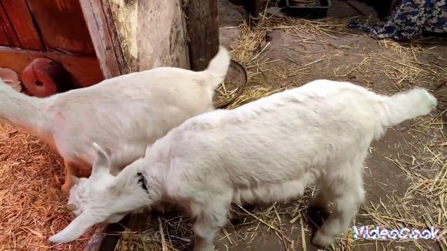 14.02.24. Довгий ранковий променад 😂😂😂