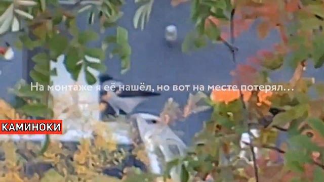 111022 » ПРО ВОРОНУ смотреть онлайн