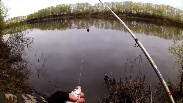 Рыбалка на реке Дон. Фидер смотреть онлайн