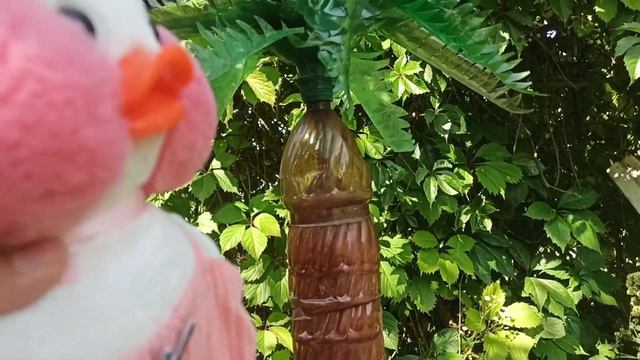 Репортаж от уточки лалафанфан на даче 🙊/Гучи мешает!? 😡/Веселые видео для детей ♥️/ смотреть онлайн