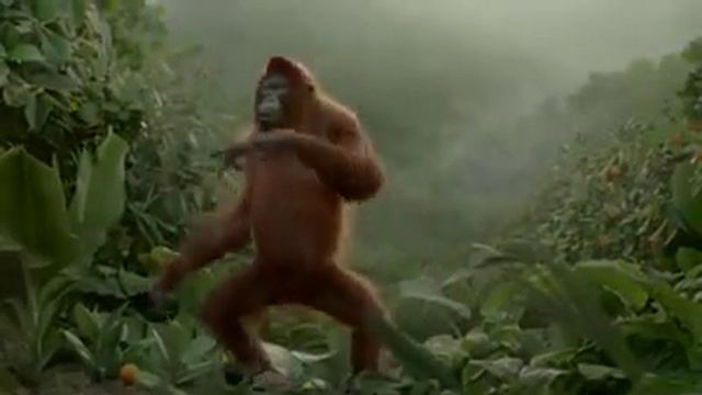 Must watch Jamaican monkey!!!! Dancing to Vybz kartel-Money pon mi brain смотреть онлайн
