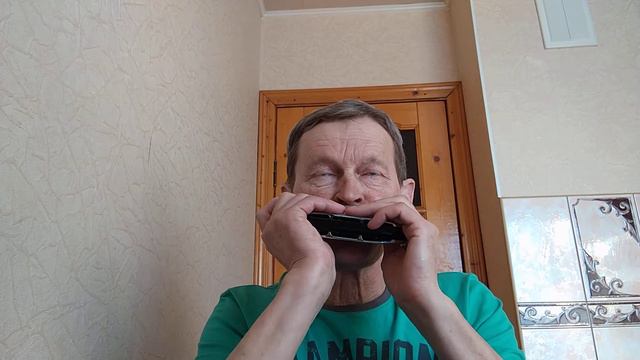 Acoustic sound orchestra - Sorrow - Hohner Chrometta12 смотреть онлайн
