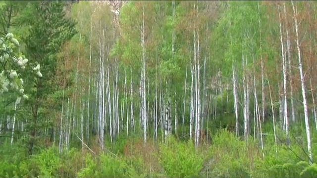 Ах черемуха белая 01 смотреть онлайн