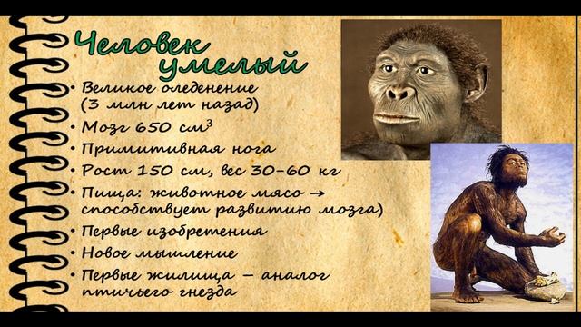 Как появился человек? Эволюция человека. смотреть онлайн