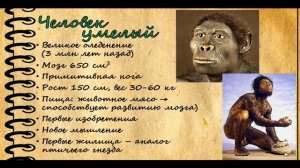 Как появился человек? Эволюция человека.