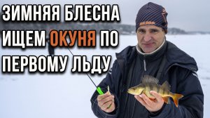 Зимняя блесна, ищем окуня по первому льду