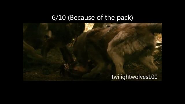 Red Riding Hood wolf vs. Twilight wolves смотреть онлайн