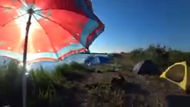 Рыбалка на Днестре 23.08.2020.Отличный отдых в кругу друзей 24 часа ) смотреть онлайн