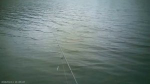 На что годится спиннинг Gad Fair FRS702MF 2,13м.,5-25гр.