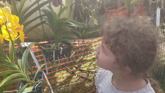 ORCHID SHOPPING WITH MARTHA at PLANTIO LA ORQUIDEA. www.plantiolaorquidea.com смотреть онлайн