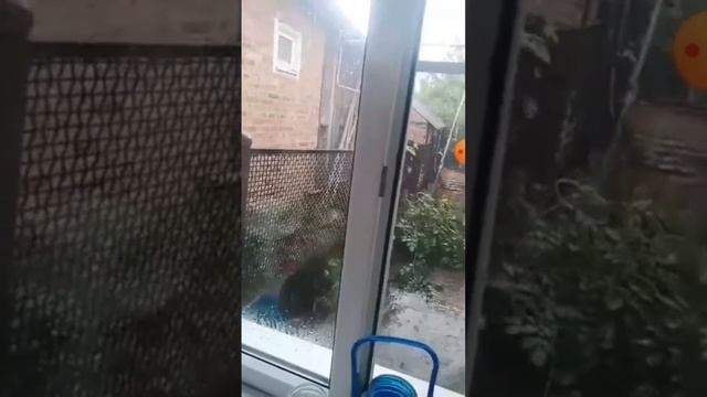 ливень гроза утром смотреть онлайн