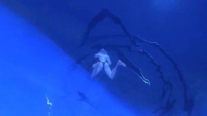 Купание девушки в Wildstar