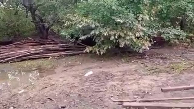 Участок у реки после новоднения. Последствия тайфуна "Хиннамнор" смотреть онлайн