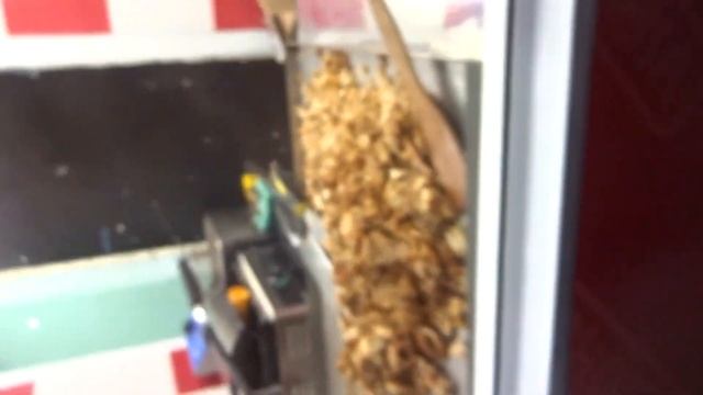 САНБОЙ КРЫШУЕТ ШАУРМУ