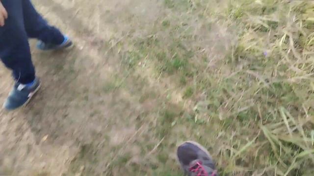 Ветер перемен ч.2 Токкари - Лэнд. Учимся растить с Любовью, приобщаем к традиции. Колтушские высоты смотреть онлайн