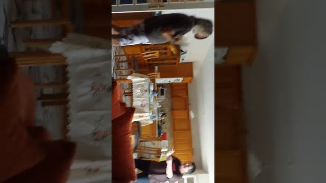 Fred Aster Tzitzer Rotzers Kineta Greece Athens No2 смотреть онлайн