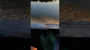 лодка крым с мотором 9.9-15