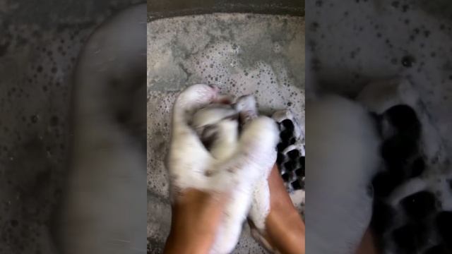 Мыление хозяйственного мыла НМЖК? смотреть онлайн