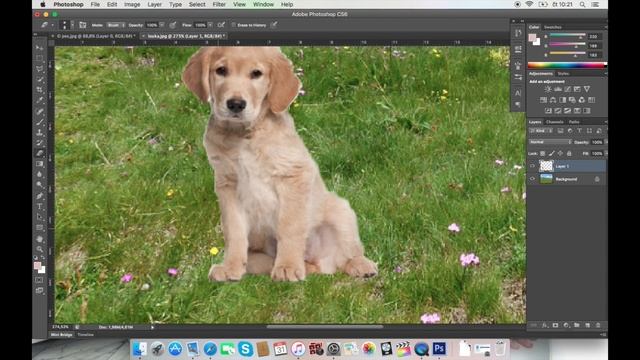 Adobe Photoshop CS6 - Výměna pozadí смотреть онлайн