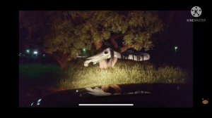 Unnerving Images With Minecraft Cave Sounds 2