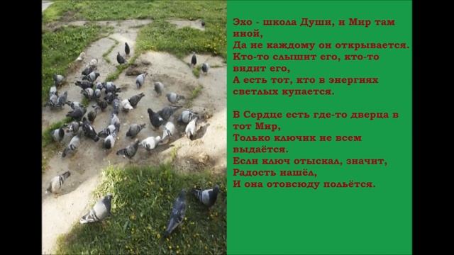 Стихи. Отчего... смотреть онлайн