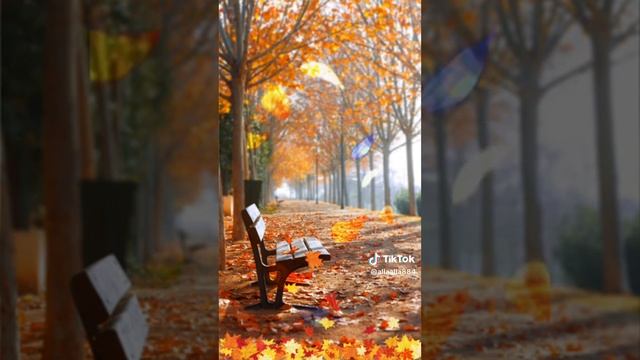 Летят года и с этим не поспоришь.???. Красивая песня, вслушайтесь. смотреть онлайн