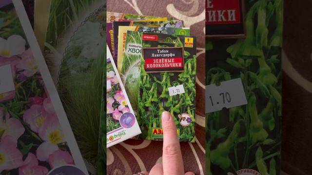 Что купила: семена цветов смотреть онлайн