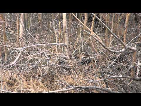 DSCN0868.MOV смотреть онлайн