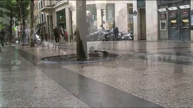Rewind Me in Paris смотреть онлайн