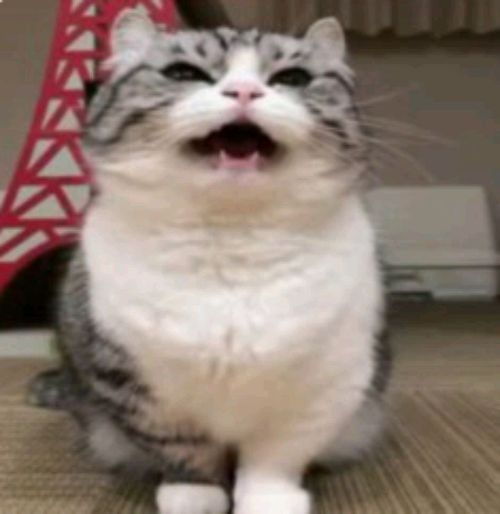 стрим с Сашей по зв