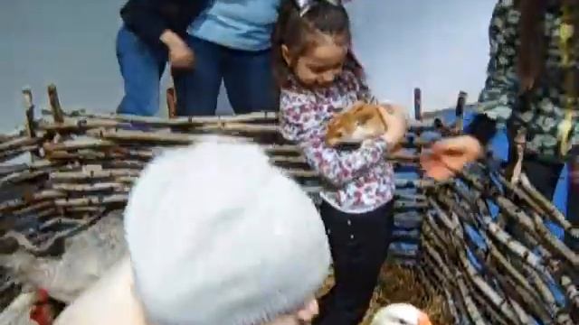 Крольчата на праздник - 8 965 380-13-11 смотреть онлайн