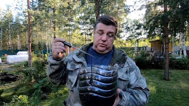 Размножение голубики. Как укоренить голубику. смотреть онлайн