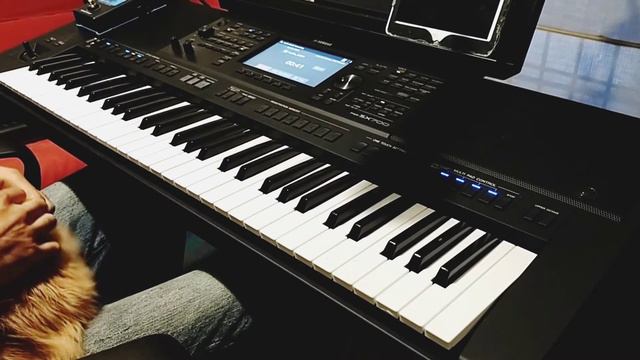 Yamaha psr-sx 700 custom style: Need You Tonight (INXS) смотреть онлайн