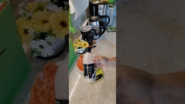 завтрак Гречневые Оладушки смотреть онлайн