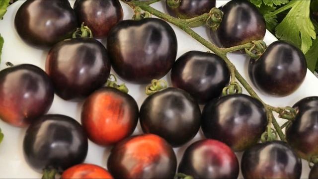 Черри - мои любимые сорта смотреть онлайн