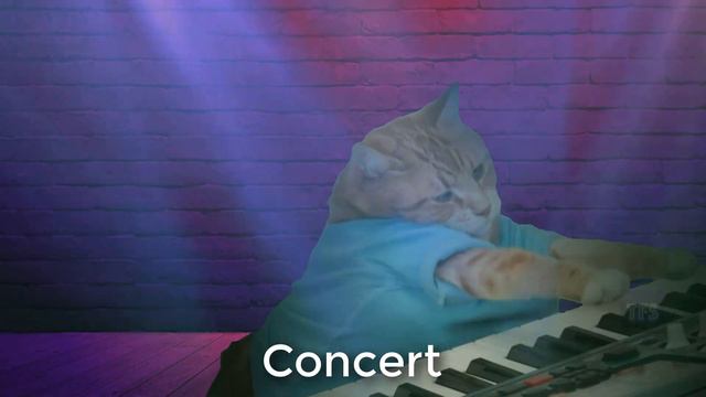 15 "Piano Cat" Sound Variations in 60 Seconds смотреть онлайн