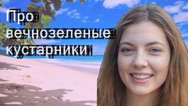 Про вечнозеленые кустарники смотреть онлайн