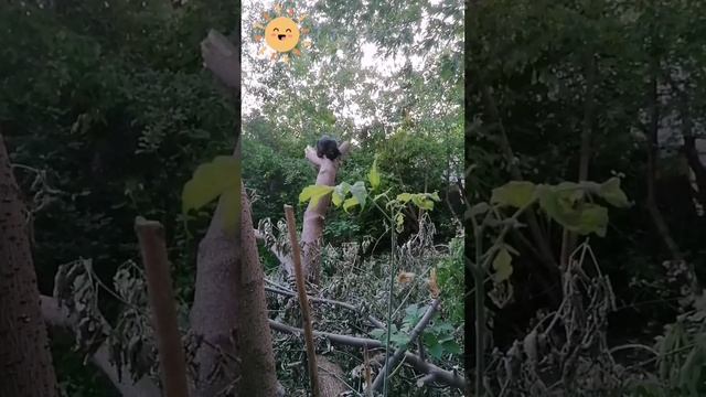 У нас пополнение ;)