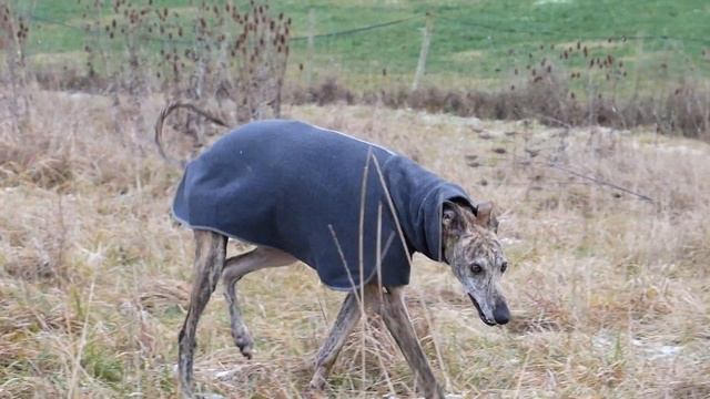 Ein fast perfekter Tag für Winner смотреть онлайн