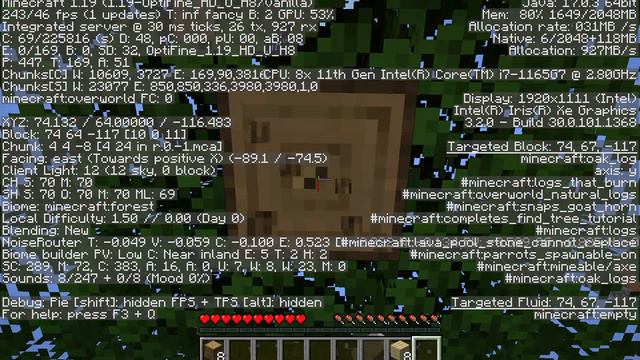 【Minecraft】Intel iris Xe Graphics / Render Simulation Distance 48 /32chunks chunks【動作確認】 смотреть онлайн