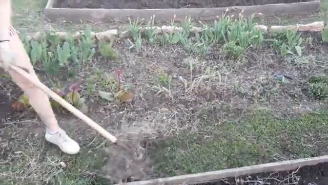 Уборка цветочной клумбы смотреть онлайн