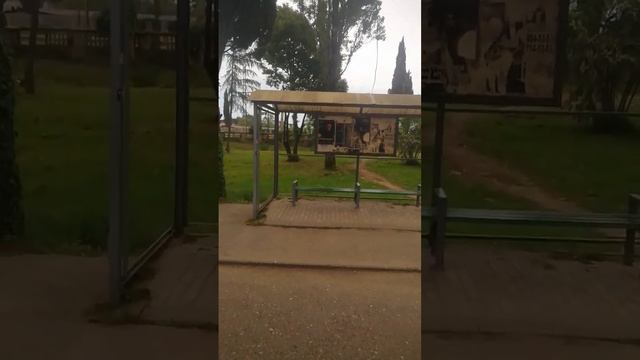 катаемся на троллейбусе номер 3 ошибся с номерами троллейбуса а также бортовой номер😅 едем на море🌊 смотреть онлайн