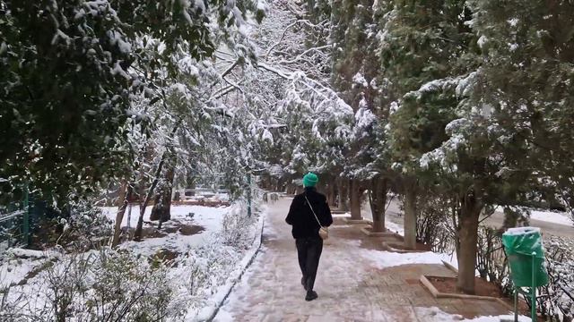 Новогодний Партенит 8.01.2023
#зима в крыму смотреть онлайн