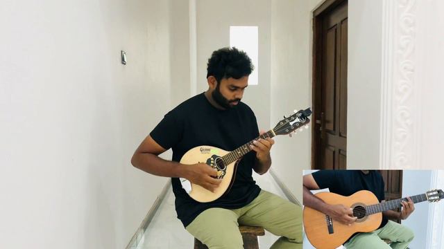 Manike Mage Hithe - Guitar and Mandolin Cover смотреть онлайн